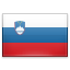 Slovínske euromince